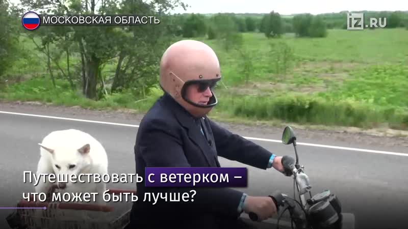 Собака