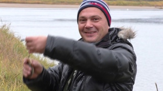 Ловля осеннего окуня на удочку / Поиски налима