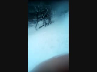 Видео от Васи Муромцевой