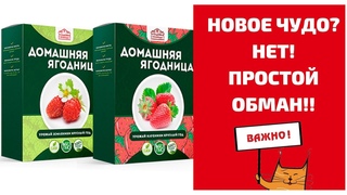Земляничный лохотрон на просторах инета