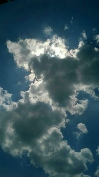 Вася Рогов, Россия, Москва