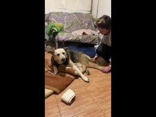Нельс: ТиТач хвоста