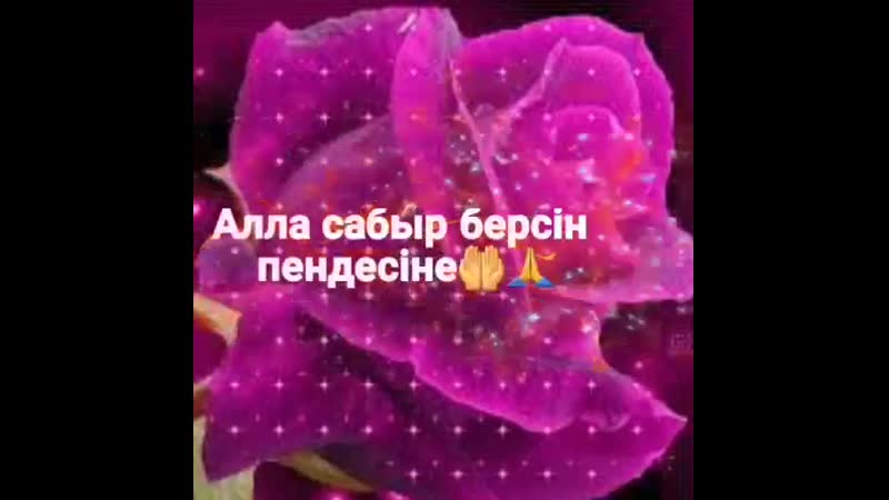 заманай