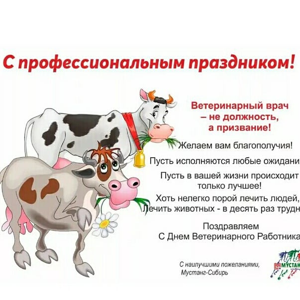 Феникс картинки, поздравления в картинках с днем ветеринарного работника коллегам