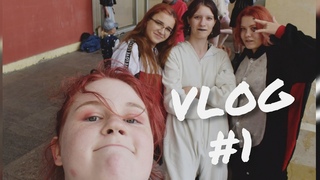 VLOG Вылупление самого жёлтого цыплёнка (Ярины)