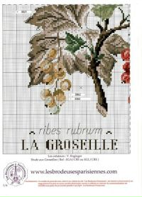 Ботаника схемы. Ботаника Вероник Ажинер смородина вышивка смородина. Ботаника ягоды Вероник Ажинер. DFEA схемы вышивки. Ботаника вышивка крестом Veronique Enginger схемы.