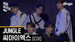 긴급속보🔈 역대급 치명+섹시 보이스 Jungle (정글)로 찾아온 CIX (씨아이엑스)의 첫 [세로라이브] [4K]ㅣ딩고뮤직ㅣDingo Music