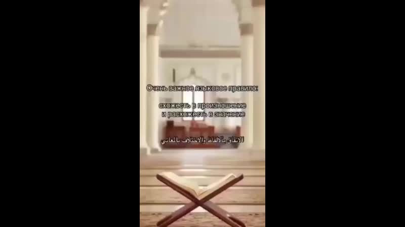 Видео от Gevarm