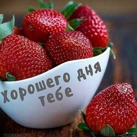 Татьяна Александрова