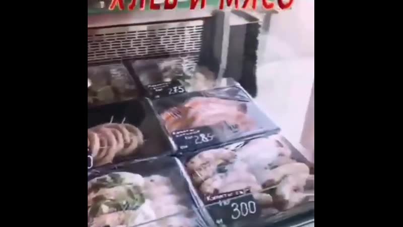 Петрович Меркурий Сеть Магазинов Архангельск Официальный Сайт