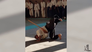 Traditional Aikido Europe - UKEMI WITH BOKKEN - Lewis Bernaldo de Quiros