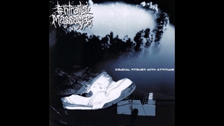 Entrails Massacre - Crucial Strikes with Attitude (2003) Full Album HQ (Grindcore)