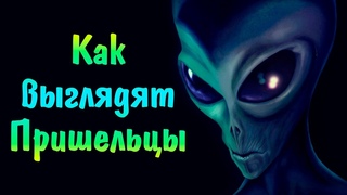 Как выглядят Пришельцы
