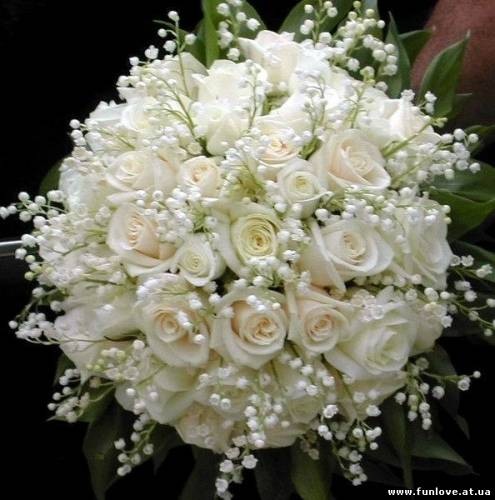 №2, Олечка Мешалкина, 33 года, Перевоз №2, Олечка Мешалкина, 33 года, Перевоз