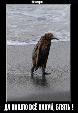 №32, Андрей Элинсон, 40 лет, Санкт-Петербург, Россия №32, Андрей Элинсон, 40 лет, Санкт-Петербург, Россия