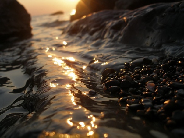 №88, Светлана Шипилова, Сочи №88, Светлана Шипилова, Сочи