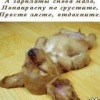 Аватар: Лера Сморчкова