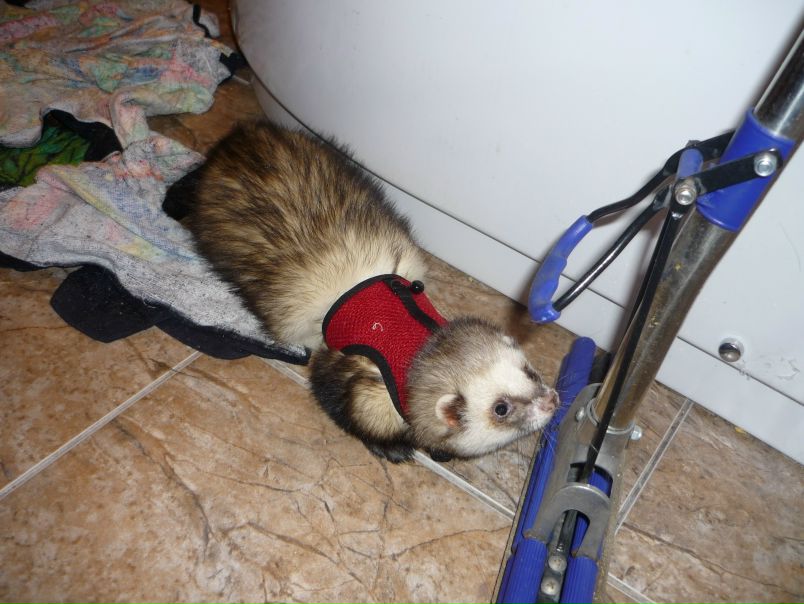 №54, Юлия Макарина, Саратов №54, Юлия Макарина, Саратов