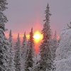 Аватар: Полина Глебовна