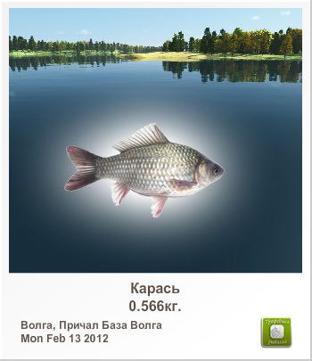 Дима Виноградов ku | Москва