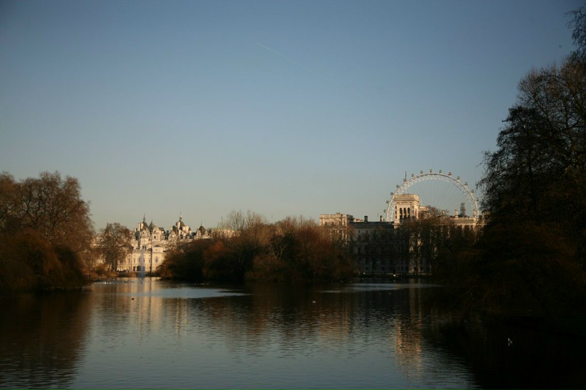 Елена Рубаник | Киев