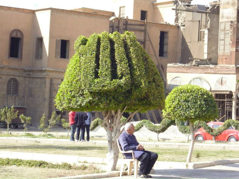 Гузель Димасова | 