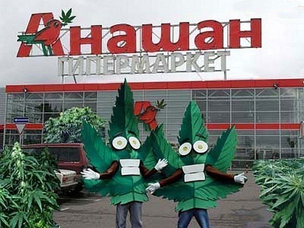 №80, Вова Головатюк №80, Вова Головатюк