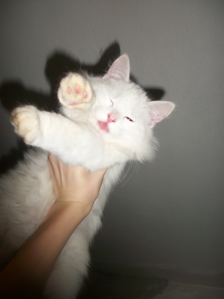 Любовь Лев | Кривой Рог