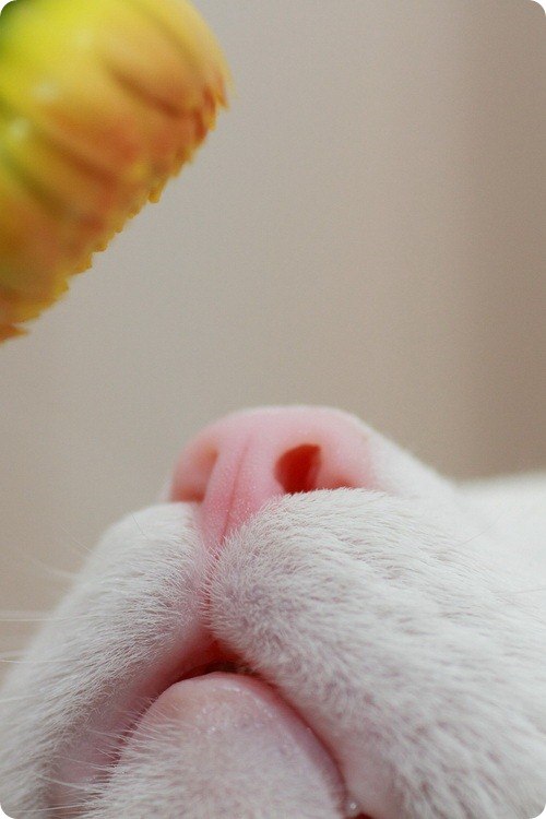 Ольга Юрьевна | 