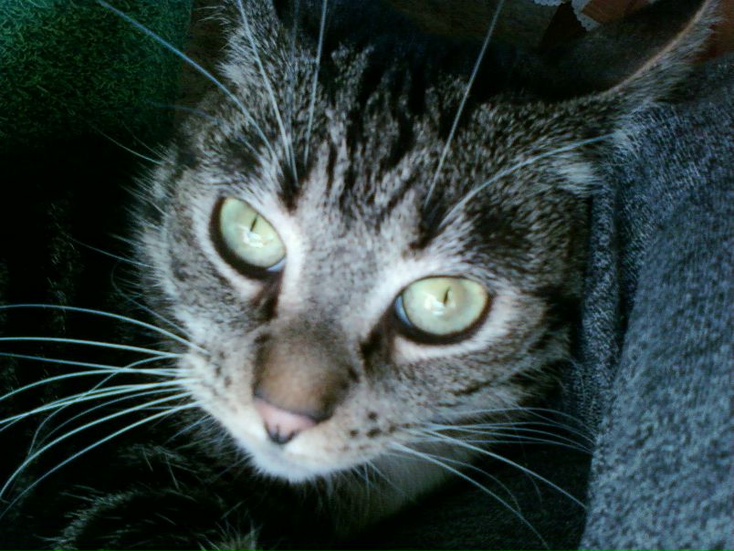 №30, Skin Deep, 37 лет, Санкт-Петербург, Россия №30, Skin Deep, 37 лет, Санкт-Петербург, Россия