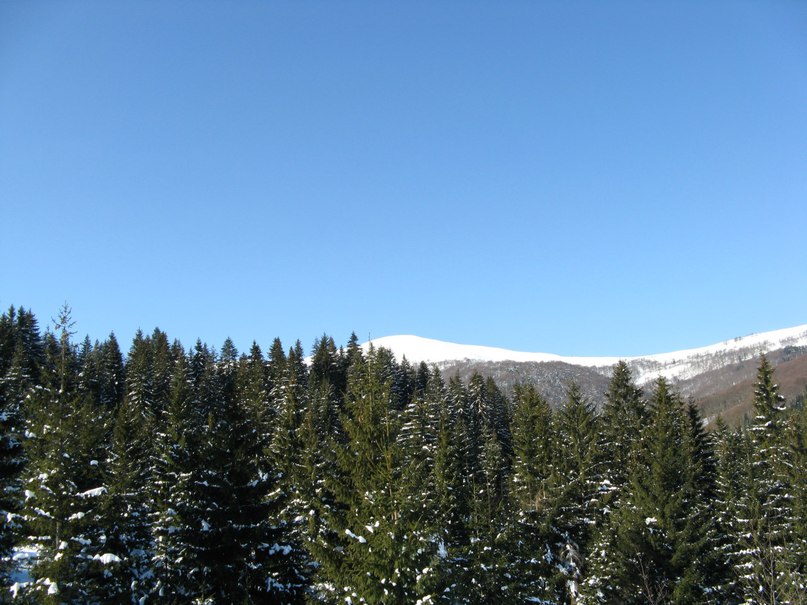 Игорь Чурсин | Киев