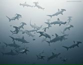 №12 Маша Переверзева 04.01.1989: профиль, фото, статус - ВКонтакте №12 Маша Переверзева 04.01.1989: профиль, фото, статус - ВКонтакте