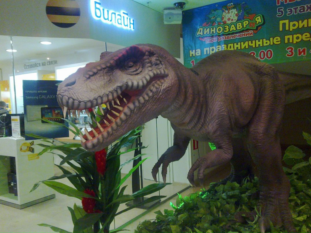 Наталья Хоронеко | Архангельск