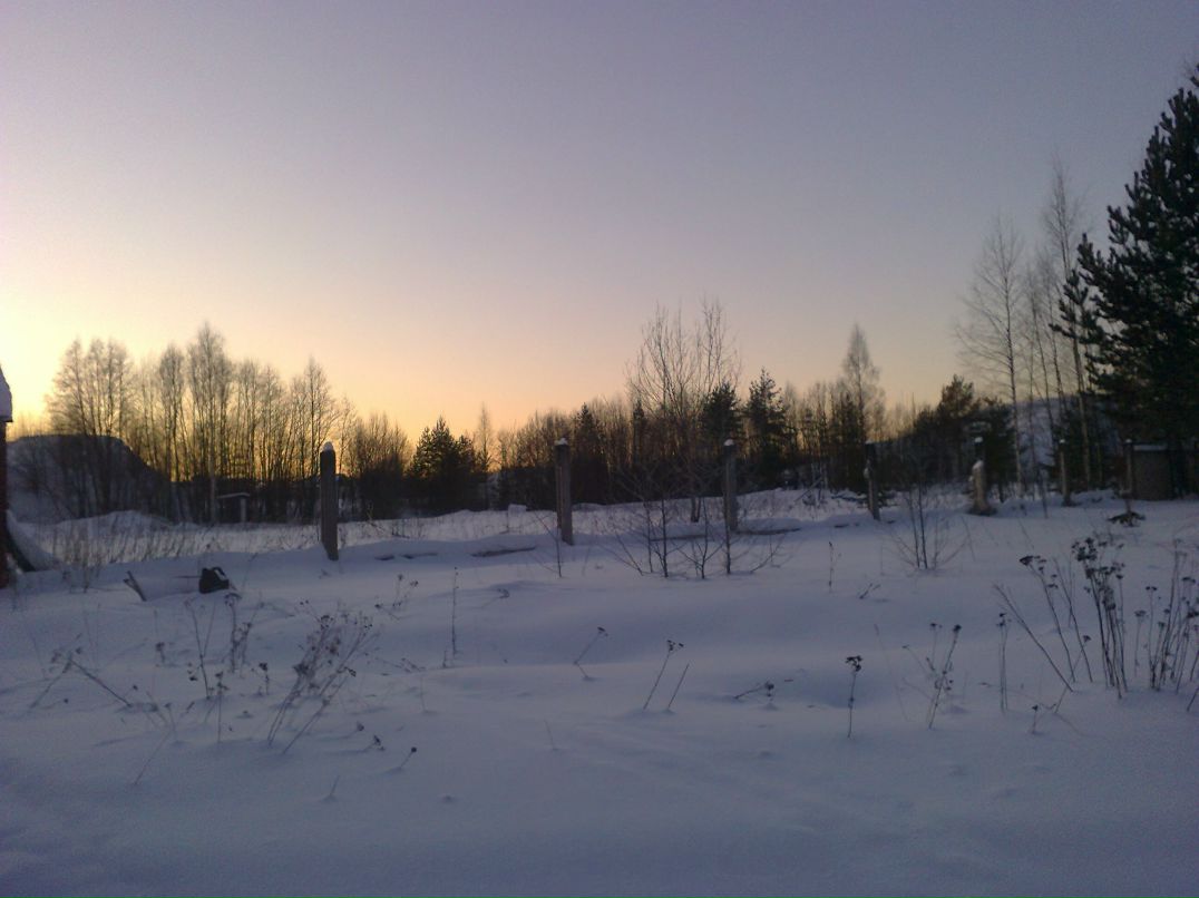 Антон Меркульев <fenix_4> | Пикалево