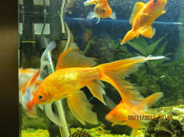 №86, Сергей Петрилин, Москва №86, Сергей Петрилин, Москва