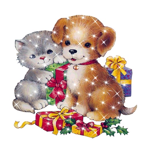 №90, Юлия Токан, Сумы №90, Юлия Токан, Сумы