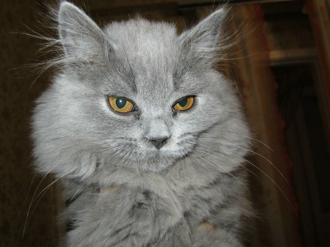 Юлия Осьминкина | Москва