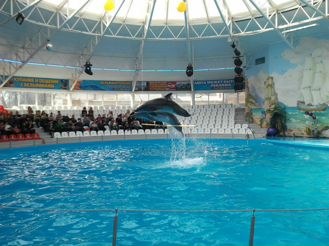 Гена Мычилкин | Донецк