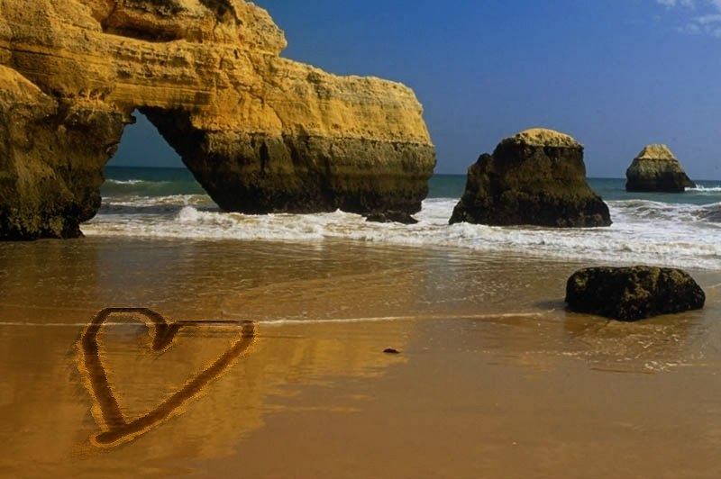 Ольга Димитрюк | Тамбов