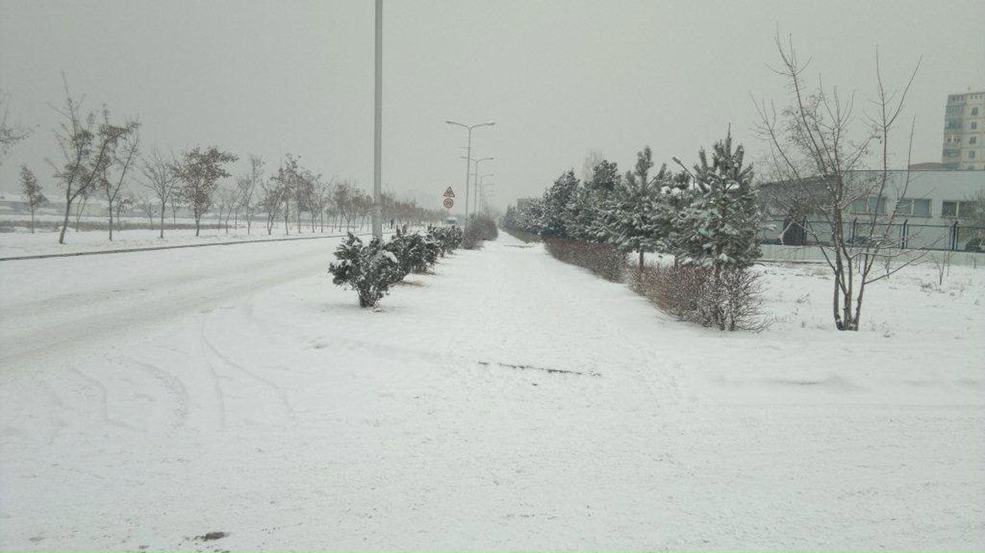 Сергей Журавлёв | 