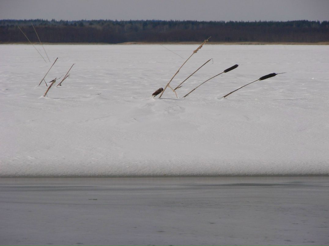 Евгений Осипов | Петрозаводск