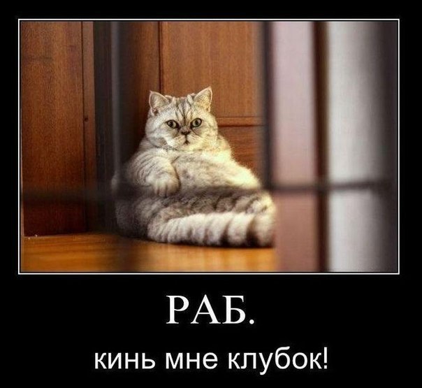 Евгений Ганзвинд | Санкт-Петербург