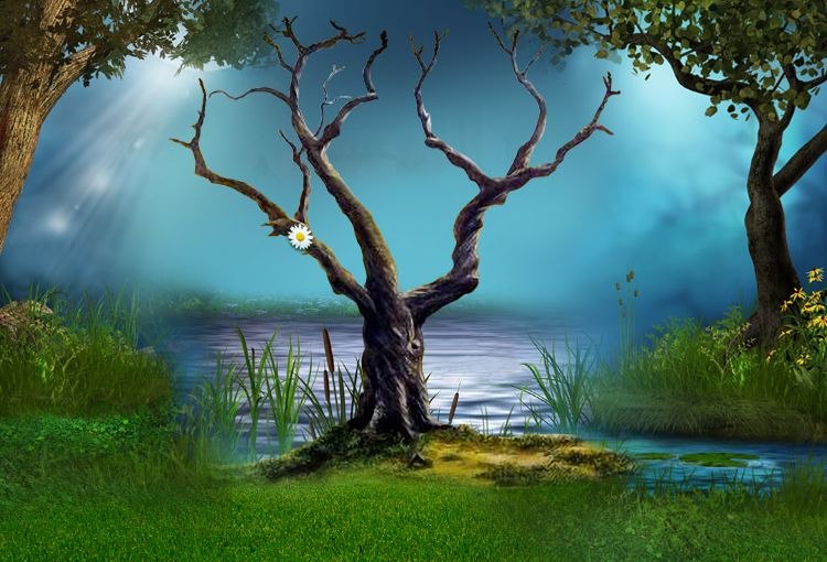 Полина Ильина | Переславль-Залесский