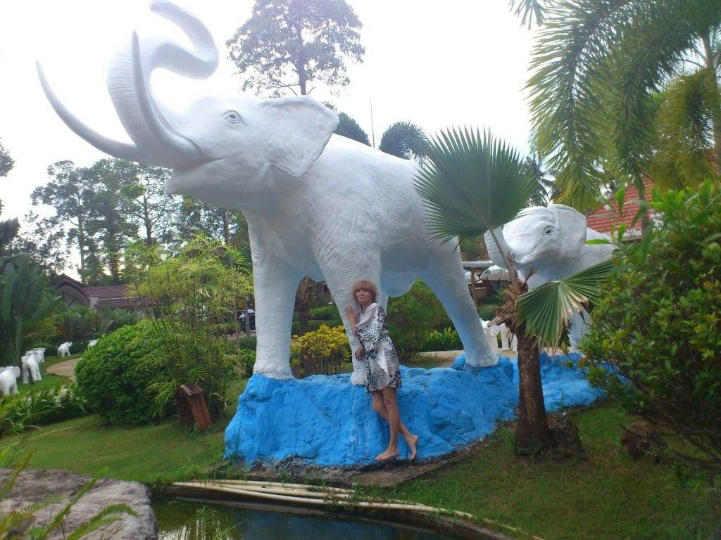 Олег Амосов Семенович | Комсомольск-на-Амуре