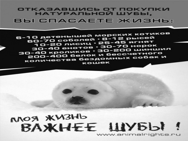 Денис Падиков фотография #1
