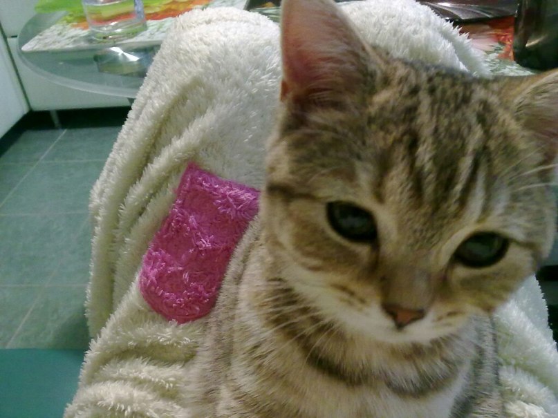 Эльвира Дерендяева | Москва