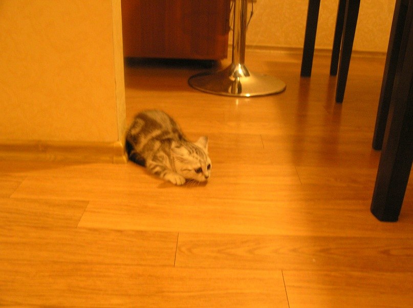 Артем Козлов | Омск