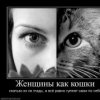 Аватар: Ольга Лукина