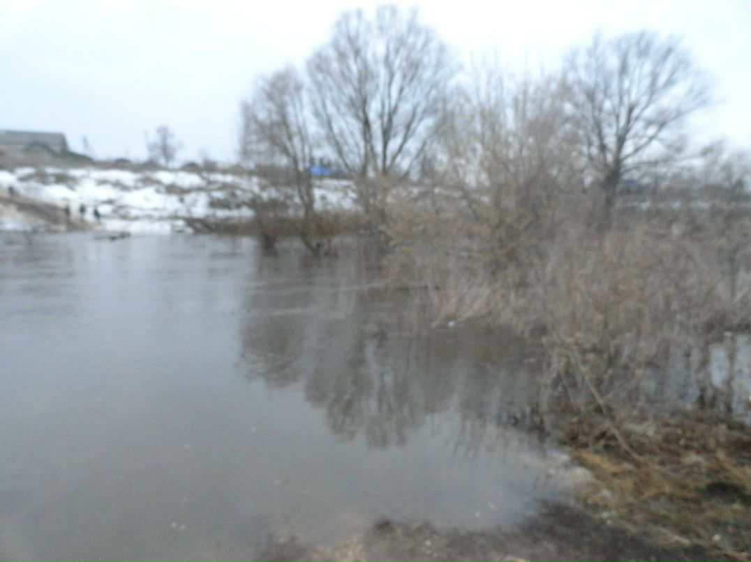 Анастасия Кузьмина Zaya079 | Липецк