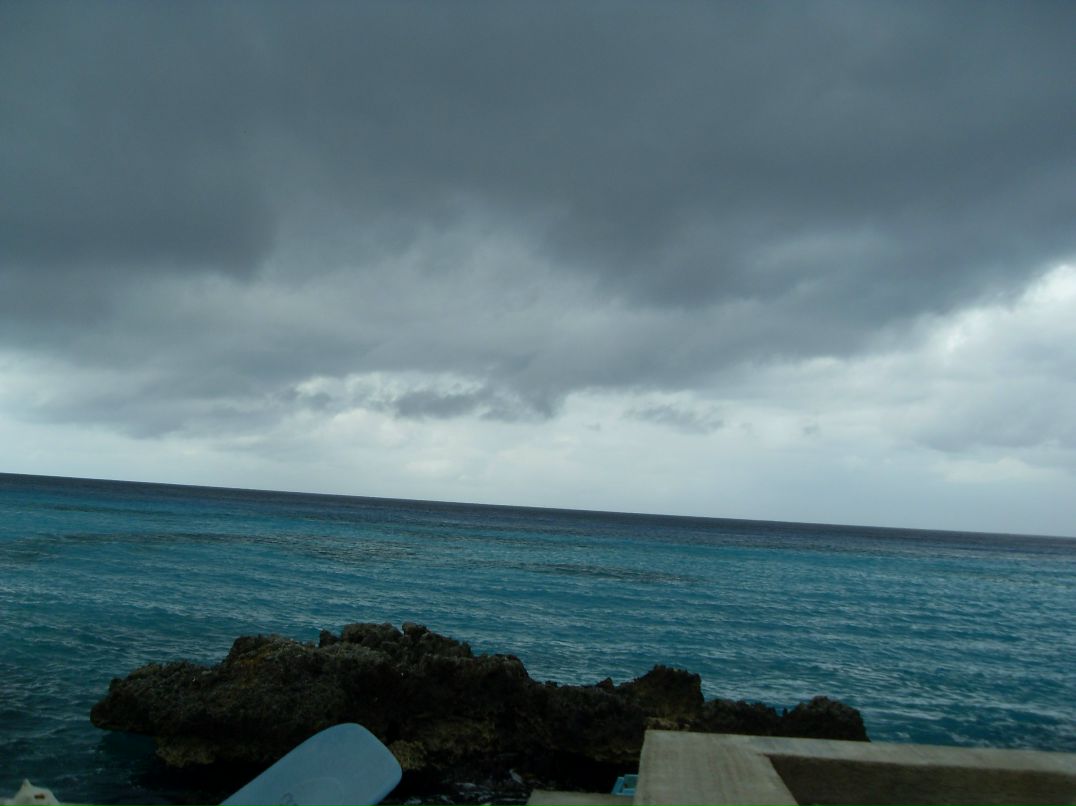 Юлия Шибаева | Санкт-Петербург